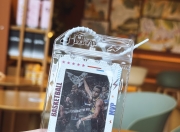 欧文爆发新星，莫兰特刷新纪录，黄蜂球队迎来希望！的简单介绍